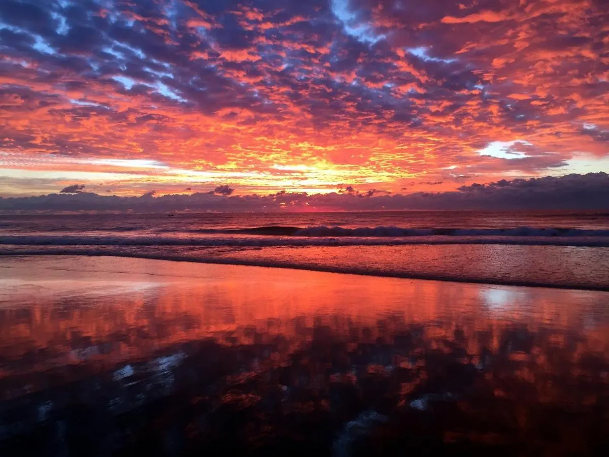 Absolutely Stunning! On The Beach !!! Gold Coast 0*,